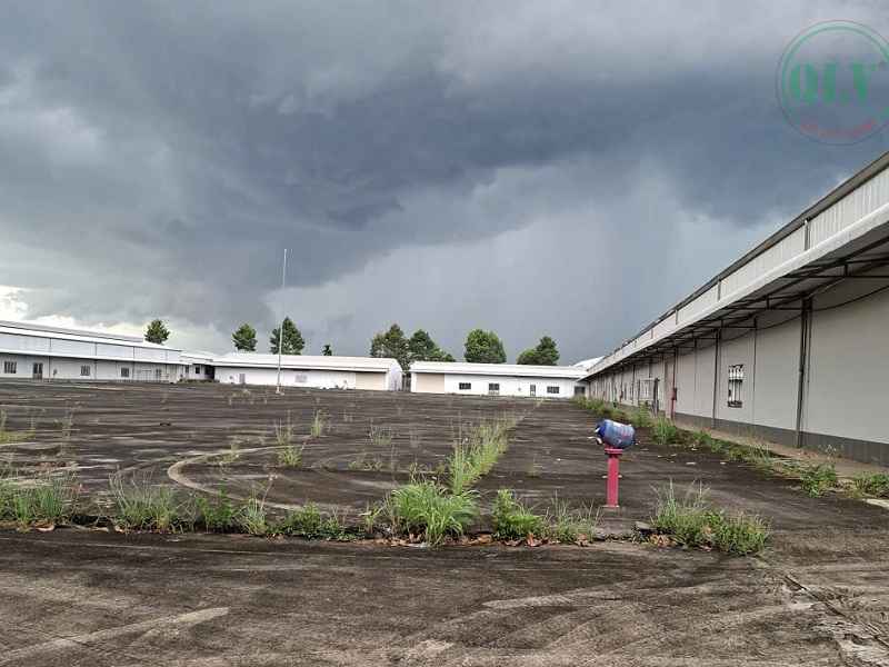 Bán nhà xưởng Trảng Bom, Đồng Nai