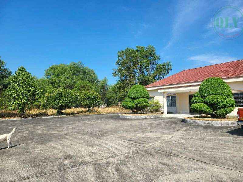 Bán xưởng KCN Rạch Bắp Bến Cát Bình Dương