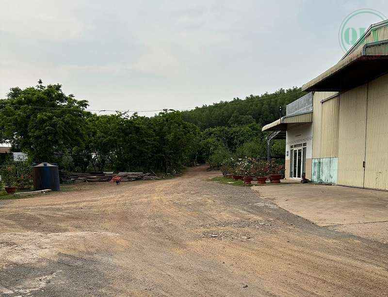 Cho thuê đất và xưởng xã Vĩnh Tân Vĩnh Cửu Đồng Nai