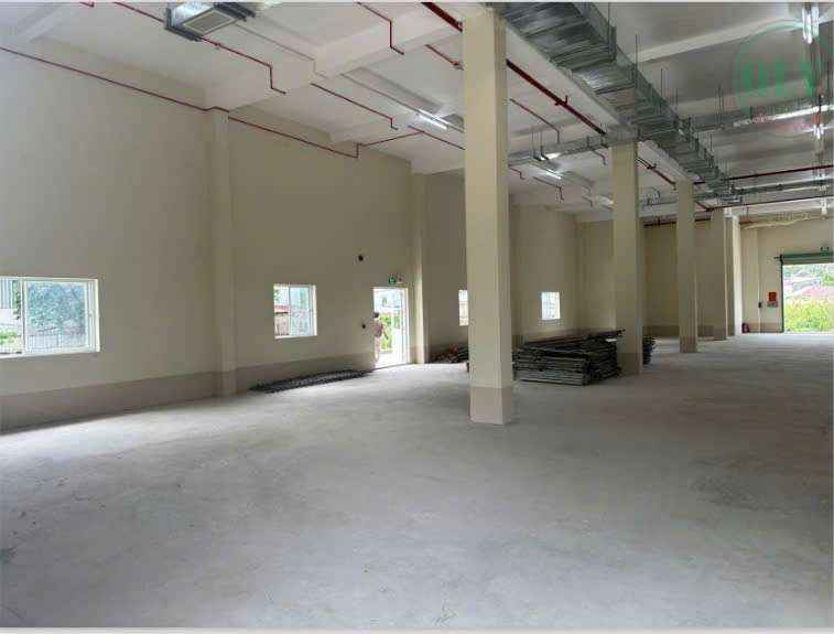 Cho thuê nhà xưởng ở Thủ Đức