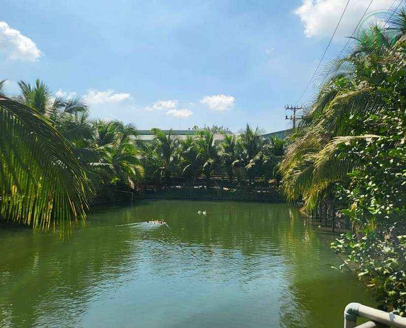 Cho thuê xưởng huyện Vĩnh Cửu Đồng Nai