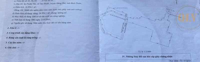 Bán đất xây xưởng ở Tân Phước Đồng Phú Bình Phước