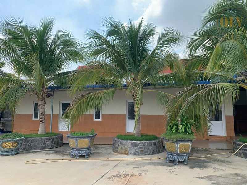 Bán xưởng sản xuất nông sản ở Hàm Tân Bình Thuận