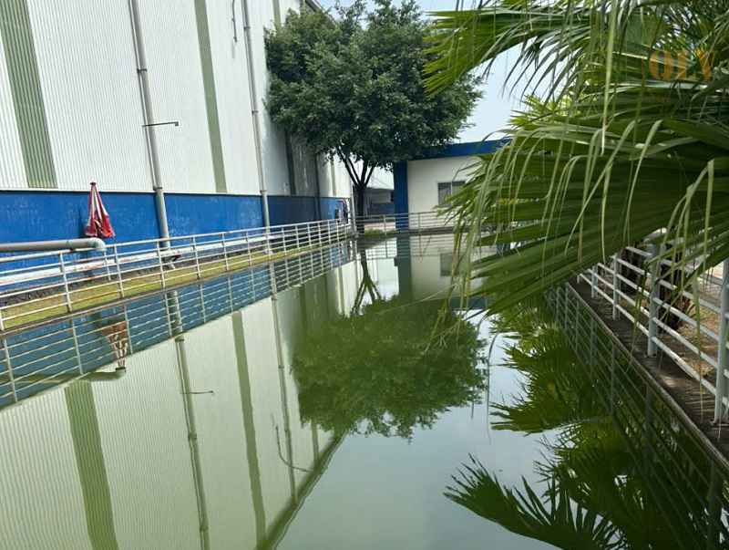 Cho thuê kho KCN Sóng Thần Bình Dương