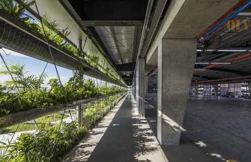 Cho thuê xưởng KCN Nhơn Trạch Đồng Nai