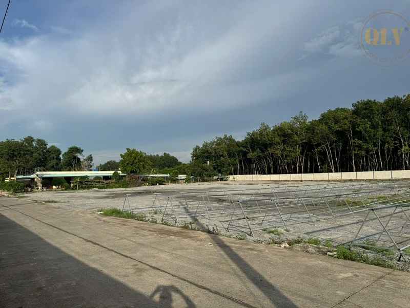 Cho thuê xưởng ngành gỗ ở Phước Hòa Phú Giáo Bình Dương