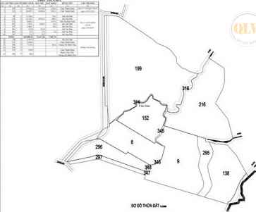 Cho thuê xưởng Tân Uyên Bình Dương