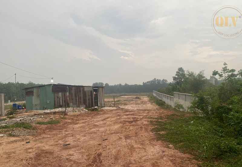 Cho thuê xưởng xây mới tại Vĩnh Hòa Phú Giáo Bình Dương