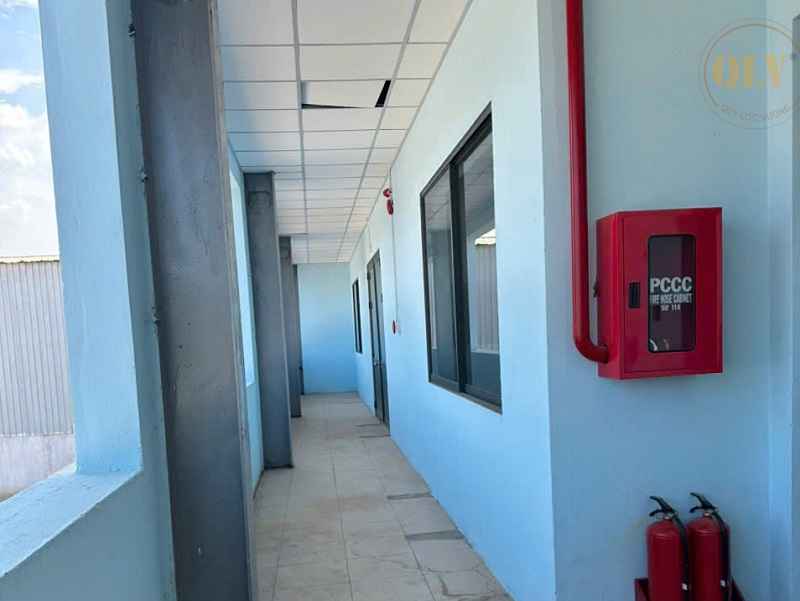 Gallery 3
