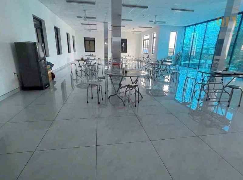 Gallery 4