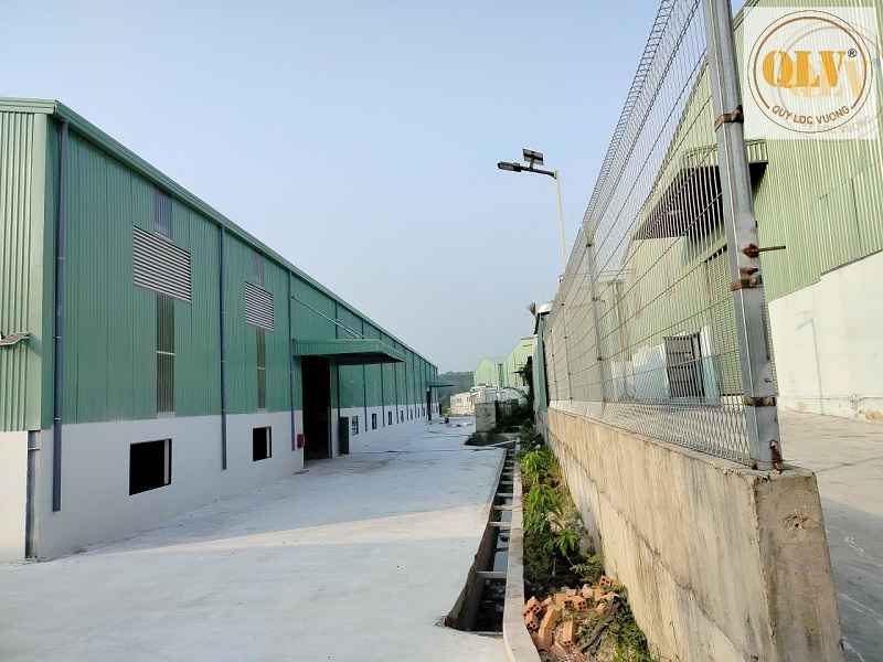Gallery 5