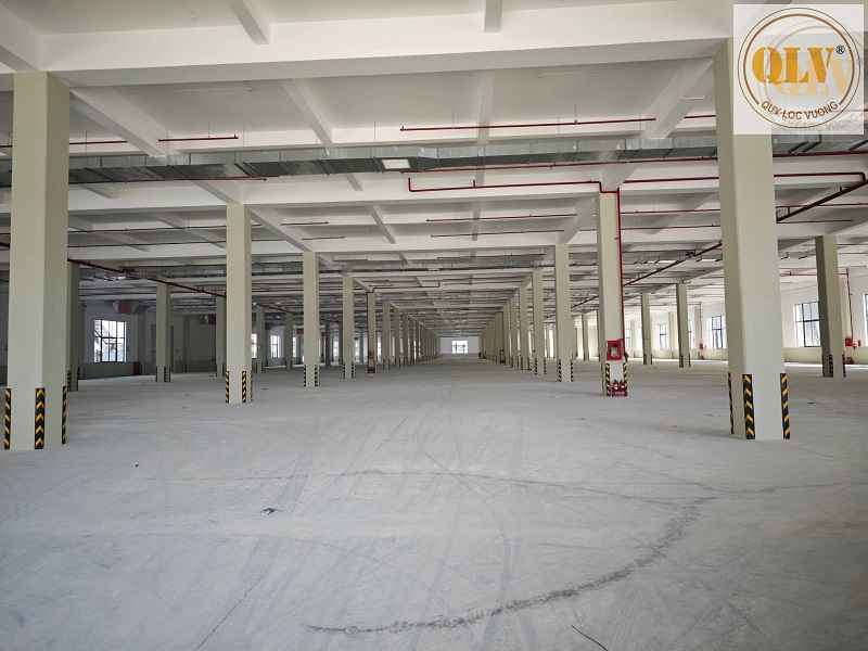Gallery 2