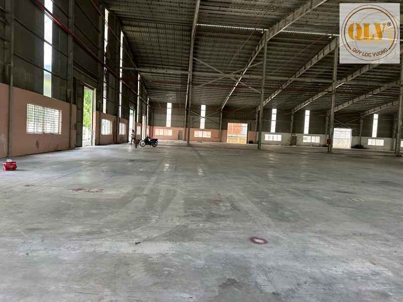 Gallery 1