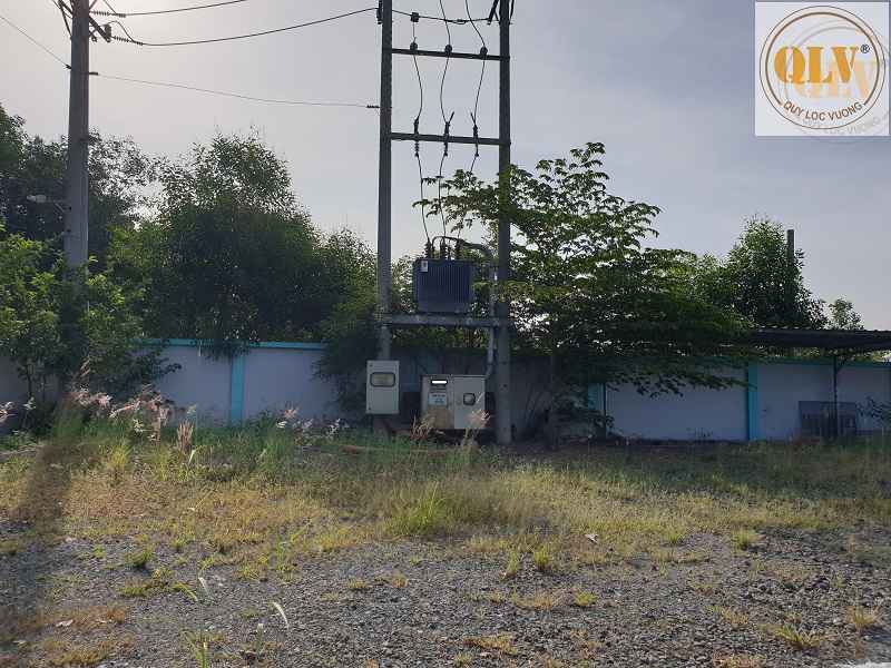 Gallery 3