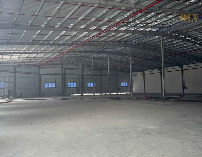 Gallery 1