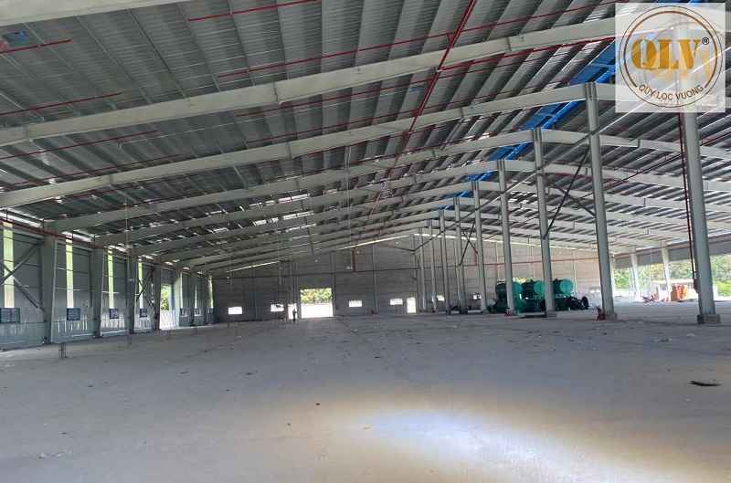 Gallery 1